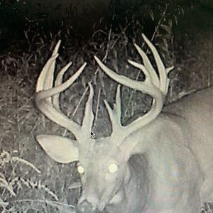 Meet your Posher, Colton